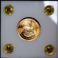 South Africa 1981 1/4ozt Gold Krugerrand