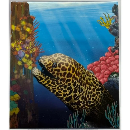2010 Silver Half Ounce Proof Reef - Moray Eel