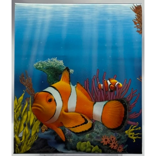 2009 Silver Half Ounce Proof Reef - Clown Fish
