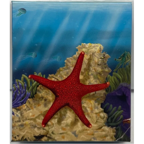 2011 Silver 1/2 Ounce Proof Reef - Starfish