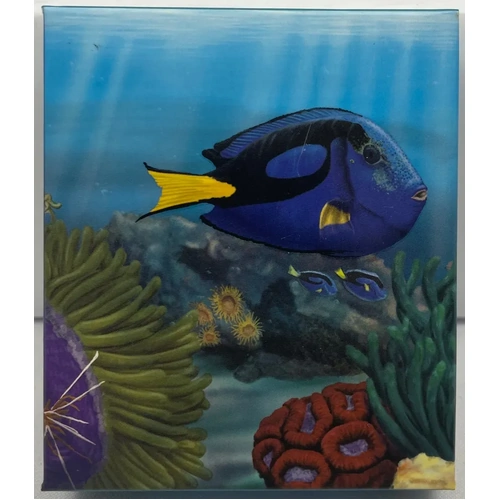 2011 Silver 1/2 Ounce Proof Reef - Surgeon Fish