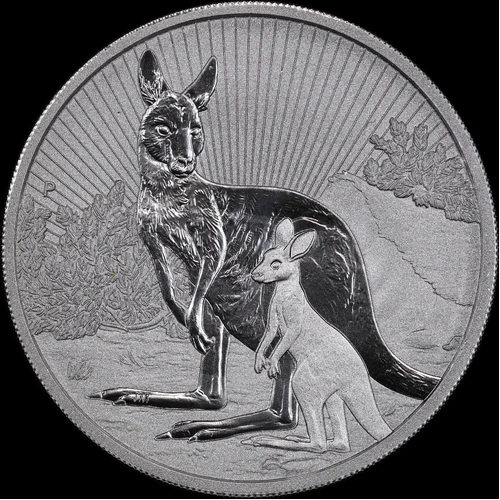 2022 Silver 10oz Unc Coin Kangaroo Mother and Baby