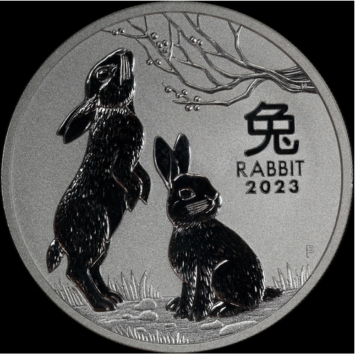 2023 Silver 1 Ounce Coin Lunar Rabbit