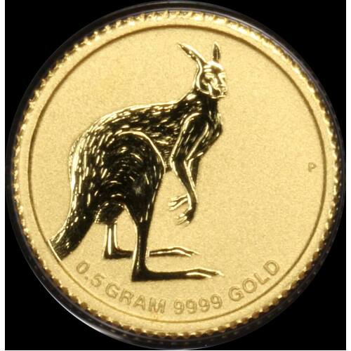 2013 Gold Half Gram Coin Mini Kangaroo