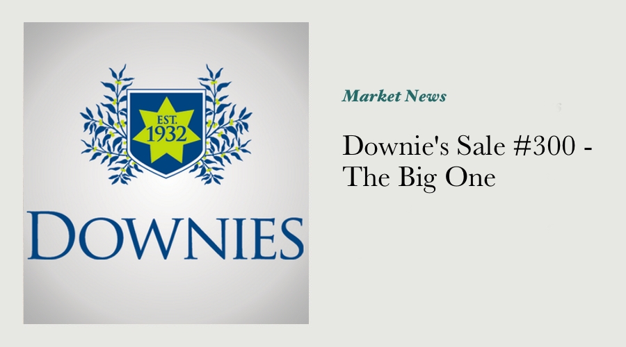 Downie's Sale #300 - The Big One main image