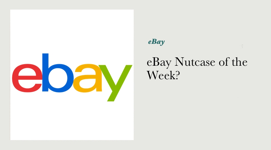 eBay Nutcase of the Week?