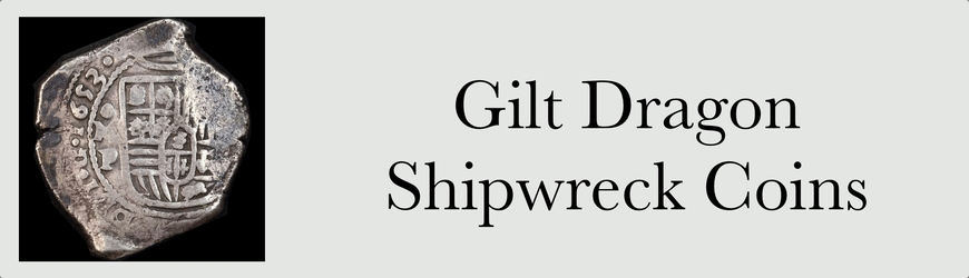 Gilt Dragon Shipwreck Coins image